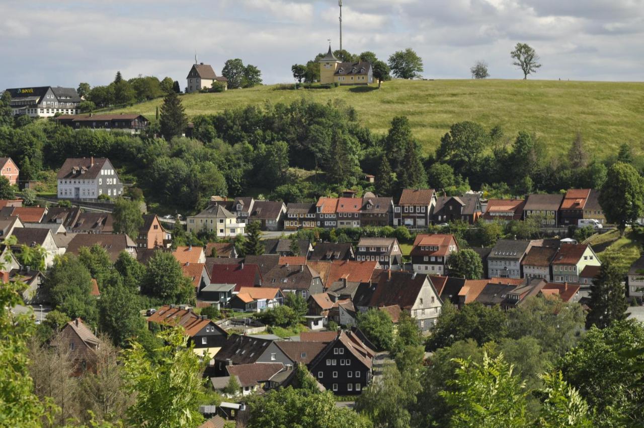 Gaestehaus Harzluft / Gruppenferienhaus Sankt Andreasberg Exterior photo